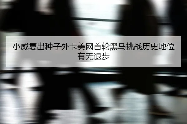 xiao-wei-fu-chu-zhong-zi-wai-ka-mei-wang-shou-lun-hei-ma-tiao-zhan-li-shi-di-wei-you-wu-tui-bu-2-186.jpg
