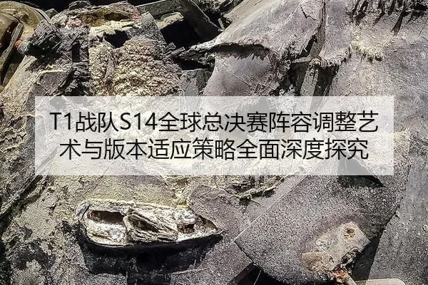 zhan-dui-quan-qiu-zong-jue-sai-zhen-rong-tiao-zheng-yi-shu-yu-ban-ben-shi-ying-ce-lve-quan-mian-shen-du-tan-jiu-2-733.jpg